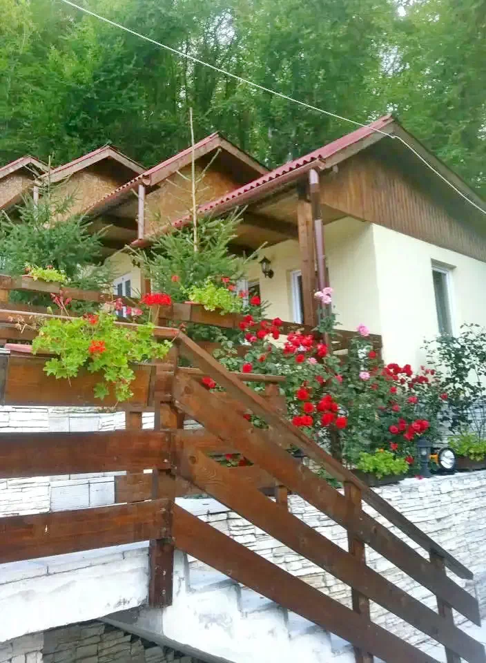 Hunedoara Cazare | Cabană (K1406-9) Imaginea poate fi supusă drepturilor de autor. Se recomandă contactarea titularului drepturilor.