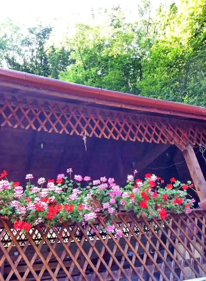Hunedoara Cazare | Cabană (K1406-22) Imaginea poate fi supusă drepturilor de autor. Se recomandă contactarea titularului drepturilor.