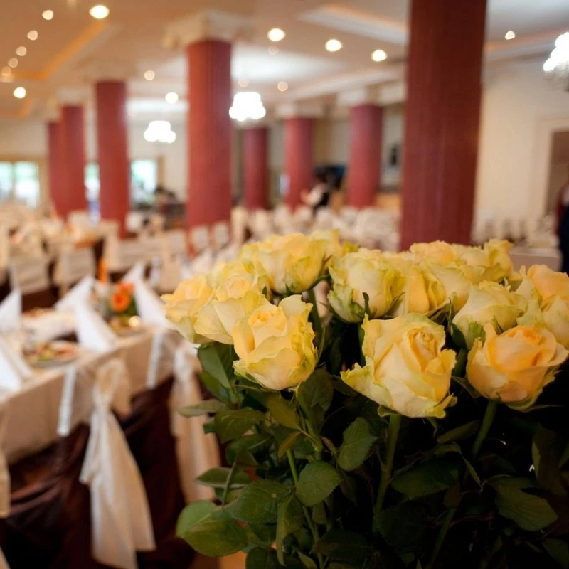 Sfântu Gheorghe Cazare | Hotel*** (K1569-9) Imaginea poate fi supusă drepturilor de autor. Se recomandă contactarea titularului drepturilor.