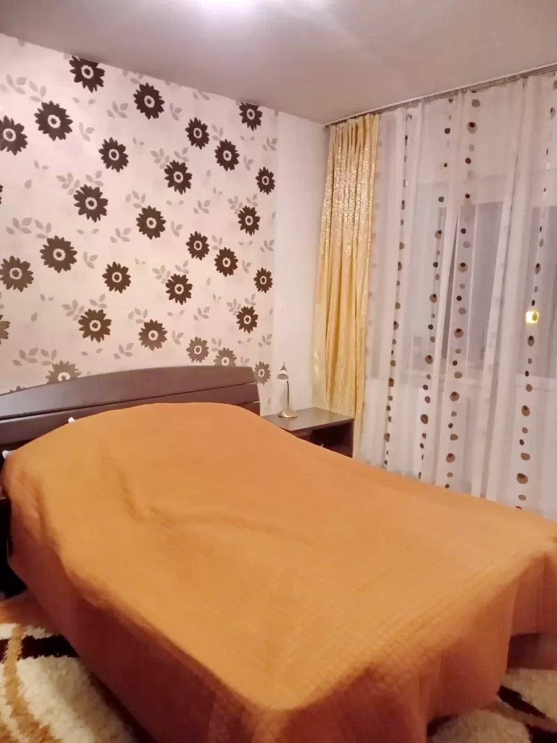 Sfântu Gheorghe Cazare | Bungalow (K1419-9) Imaginea poate fi supusă drepturilor de autor. Se recomandă contactarea titularului drepturilor.