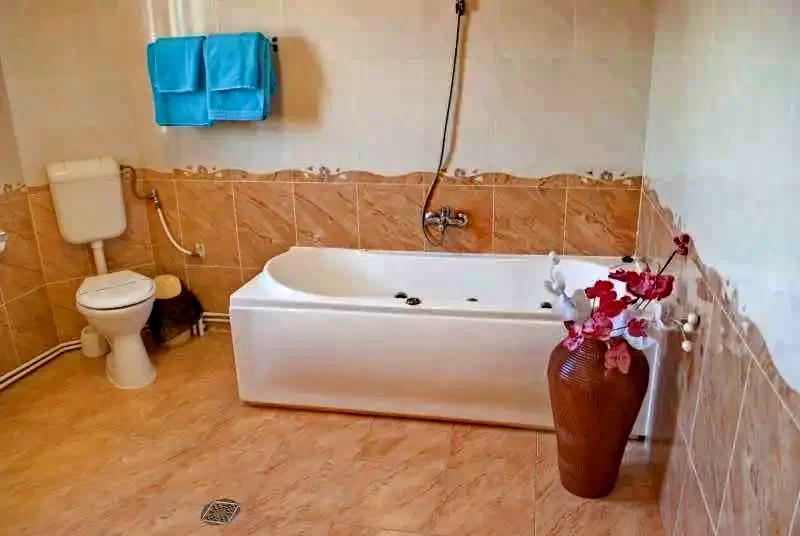 Timișoara Cazare | Motel (K0917-23) Imaginea poate fi supusă drepturilor de autor. Se recomandă contactarea titularului drepturilor.