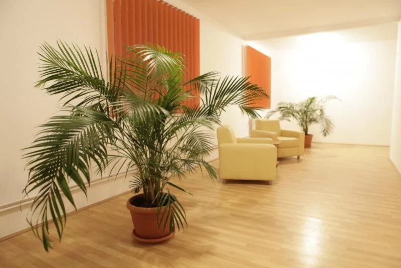 Balavásár Szállás | Turisztikai panzió (K1446-12) A kép szerzői jogvédelem alatt állhat. Javasolt a kapcsolatfelvétel a jog tulajdonossal.