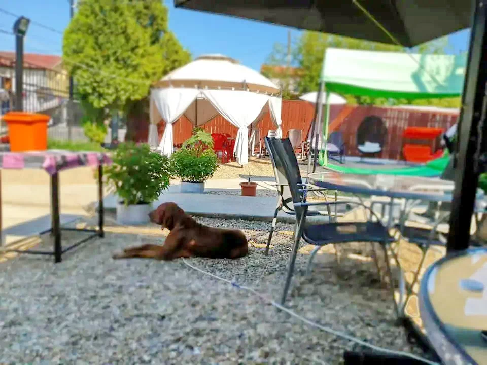  Szállás | Motel (K1331-7) A kép szerzői jogvédelem alatt állhat. Javasolt a kapcsolatfelvétel a jog tulajdonossal.