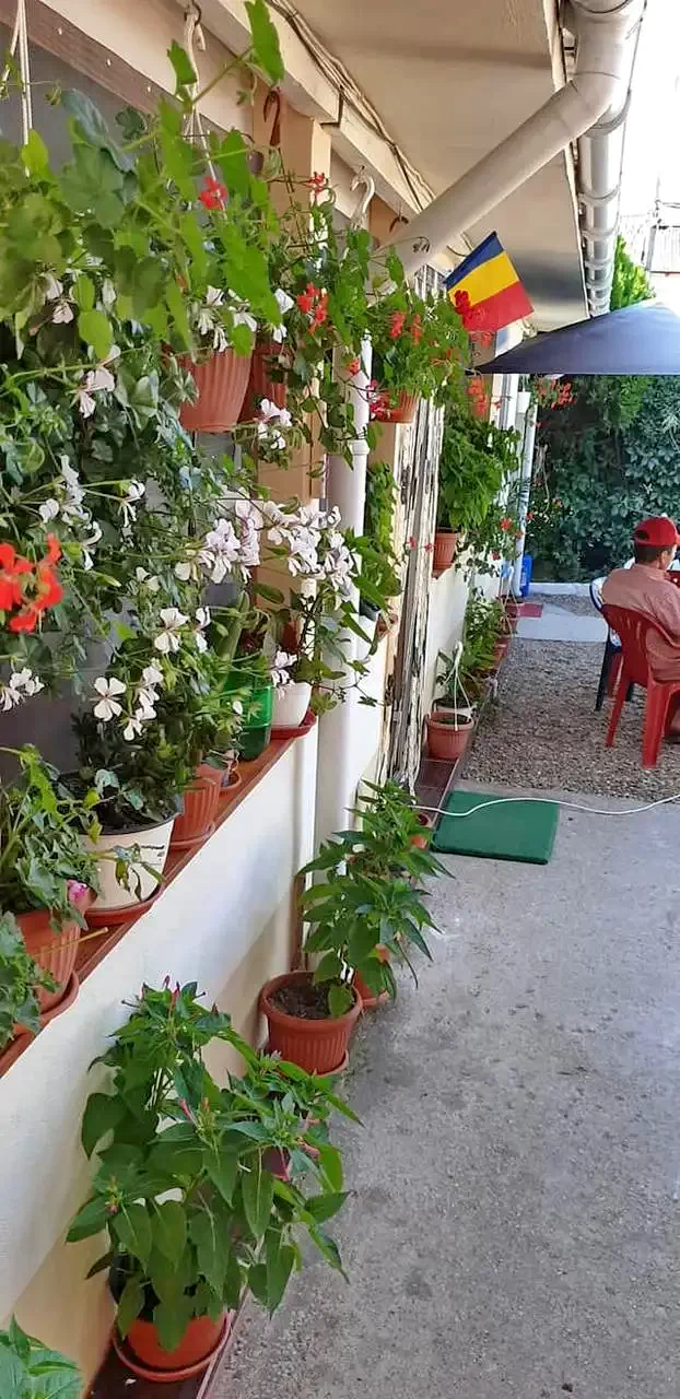 Costinești Cazare | Motel (K1331-8) Imaginea poate fi supusă drepturilor de autor. Se recomandă contactarea titularului drepturilor.