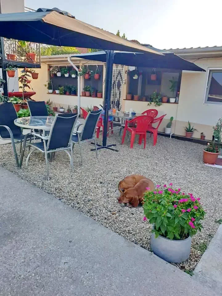 Costinești Cazare | Motel (K1331-36) Imaginea poate fi supusă drepturilor de autor. Se recomandă contactarea titularului drepturilor.