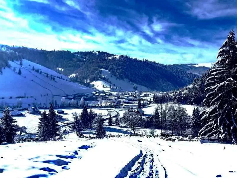 Lunca de Jos Cazare | Pensiune (K0929-18) Imaginea poate fi supusă drepturilor de autor. Se recomandă contactarea titularului drepturilor.