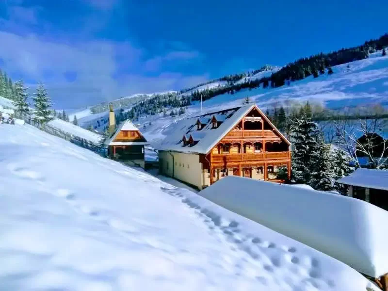 Lunca de Jos Cazare | Pensiune (K0929-23) Imaginea poate fi supusă drepturilor de autor. Se recomandă contactarea titularului drepturilor.