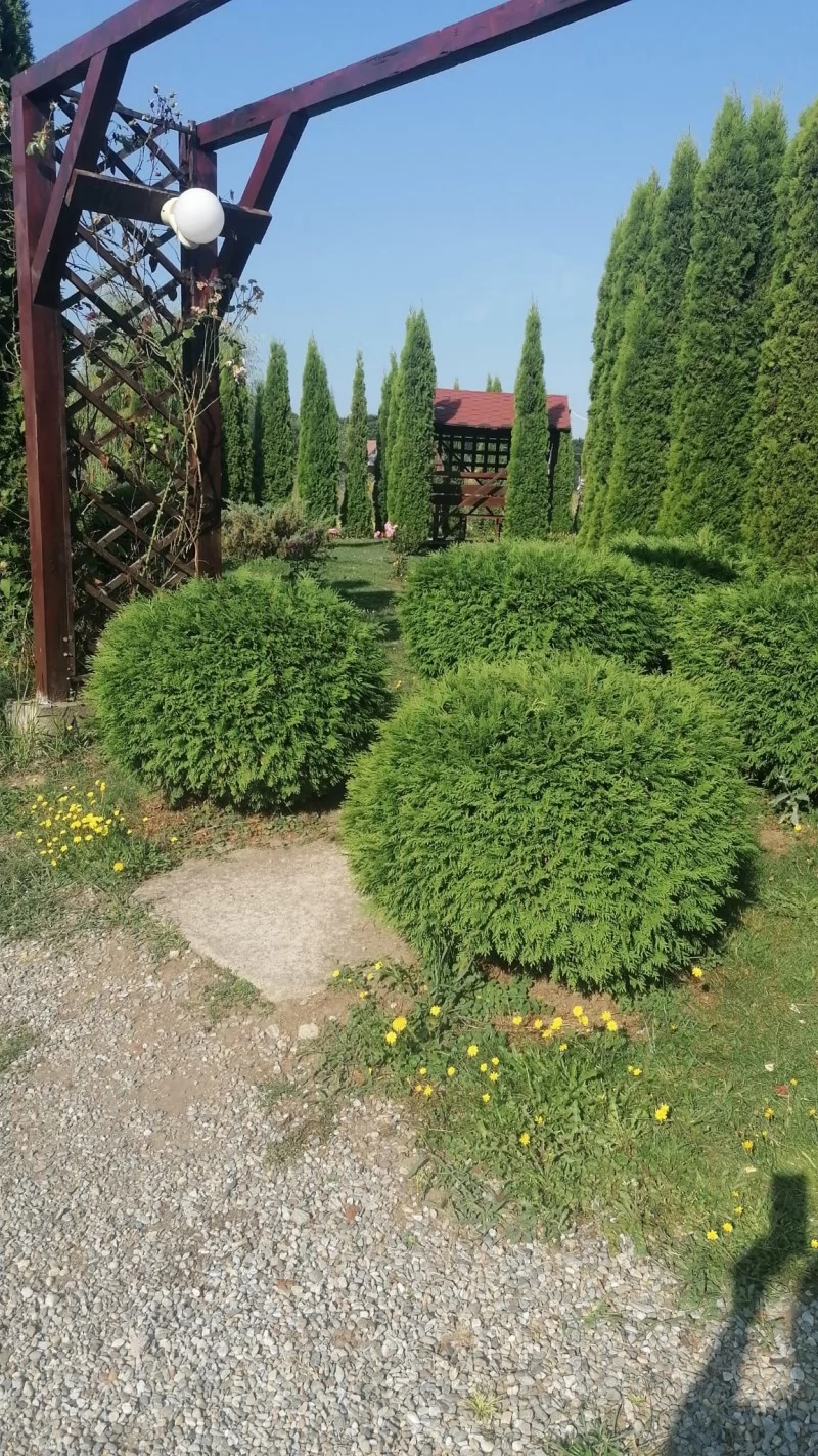 Cazare Sâmbăta de Sus - Pensiunea Mountainking*** | Felsőszombatfalva - Mountainking Panzió*** . Imaginea poate fi supusă drepturilor de autor. Se recomandă contactarea titularului drepturilor.