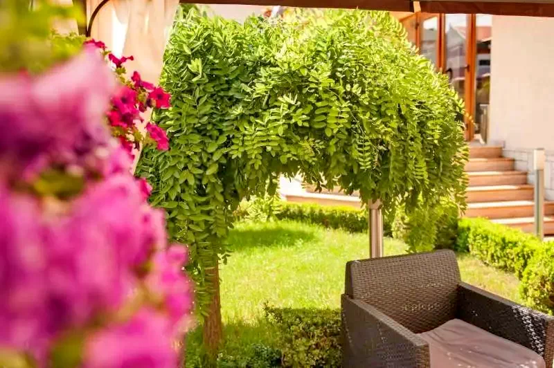 Eforie Nord Cazare | Camping / Popas turistic (K1323-16) Imaginea poate fi supusă drepturilor de autor. Se recomandă contactarea titularului drepturilor.