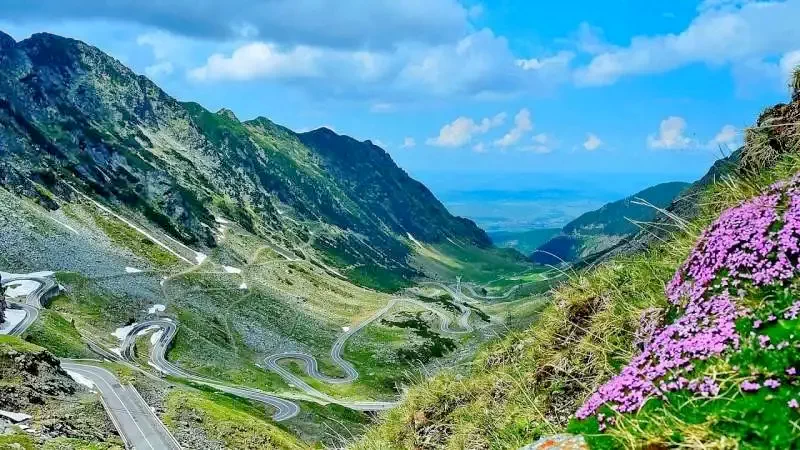 Cazare Cârtișoara - Pensiunea Bâlea Transfăgărășan*** | Kercisóra - Bilea Transfăgărășan Panzió***. Imaginea poate fi supusă drepturilor de autor. Se recomandă contactarea titularului drepturilor.