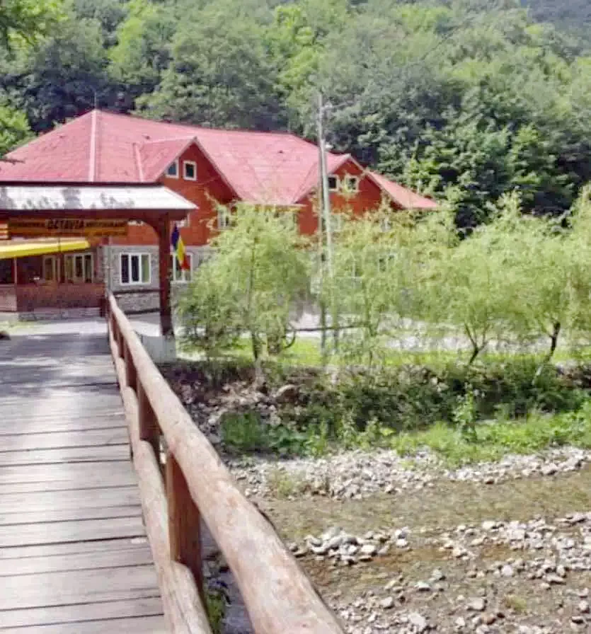 Coada Lacului Lesu Cazare | Pensiune (K1032-13) Imaginea poate fi supusă drepturilor de autor. Se recomandă contactarea titularului drepturilor.