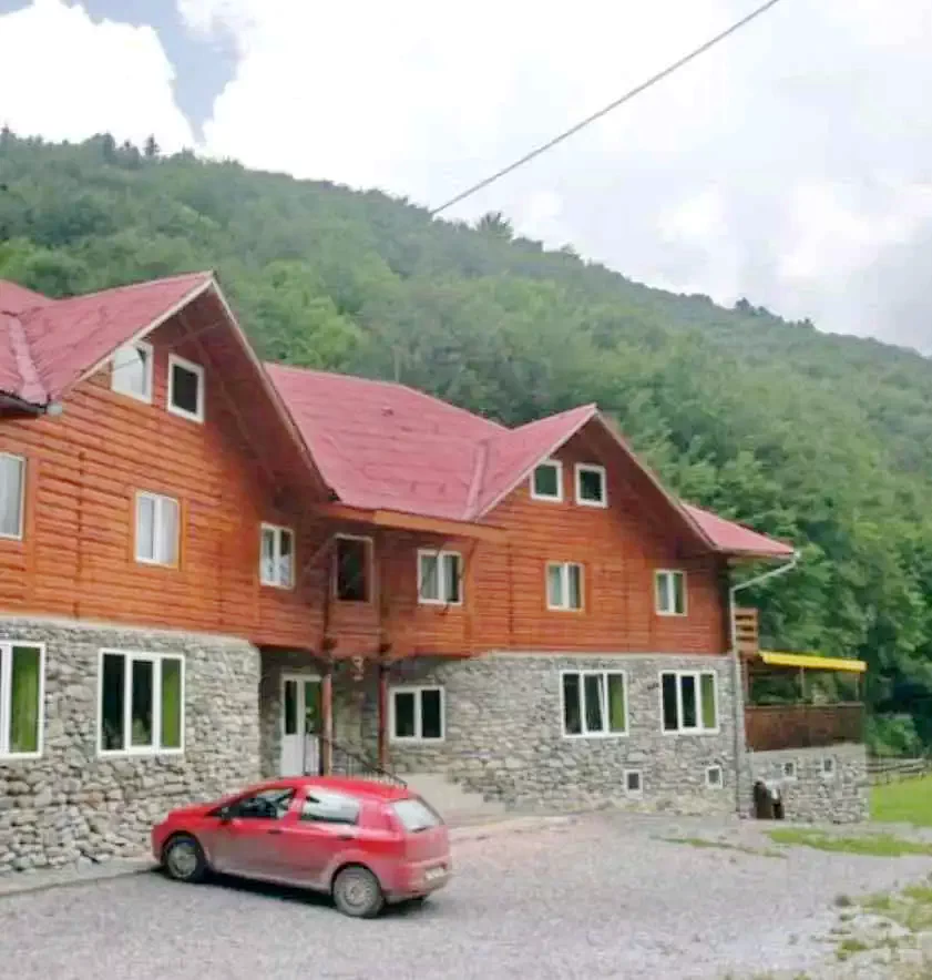 Coada Lacului Lesu Cazare | Pensiune (K1032-15) Imaginea poate fi supusă drepturilor de autor. Se recomandă contactarea titularului drepturilor.