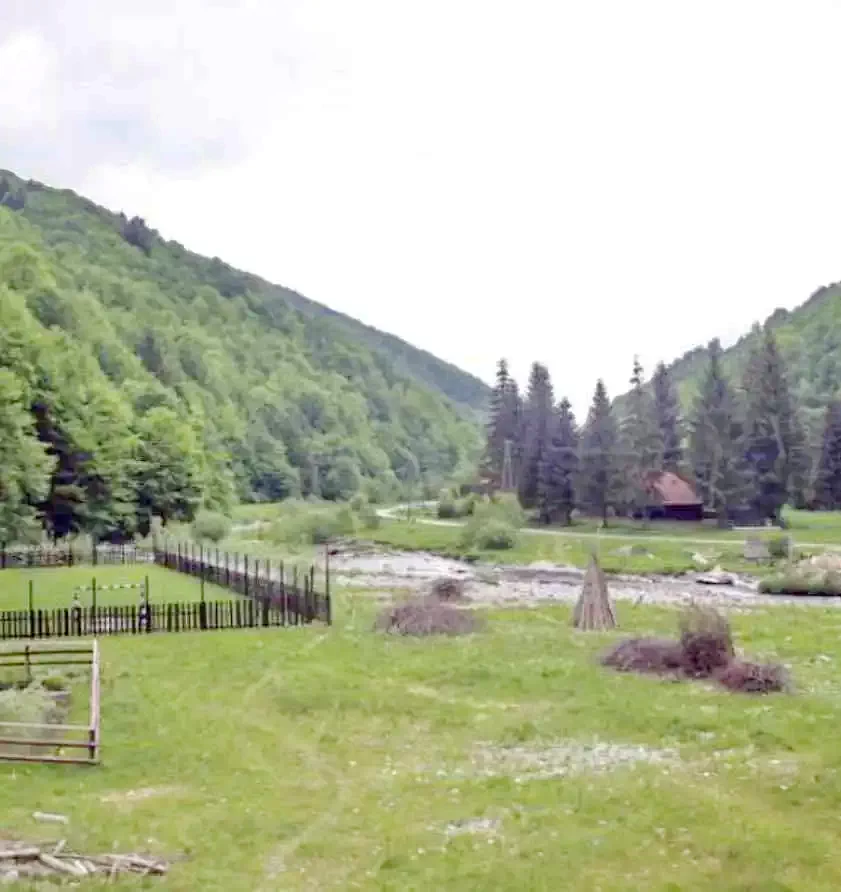 Coada Lacului Lesu Cazare | Motel (K1032-17) Imaginea poate fi supusă drepturilor de autor. Se recomandă contactarea titularului drepturilor.