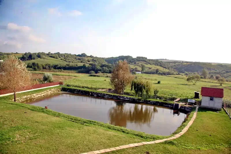 Harangmező Szállás | Hotel**** (K0207-20) A kép szerzői jogvédelem alatt állhat. Javasolt a kapcsolatfelvétel a jog tulajdonossal.