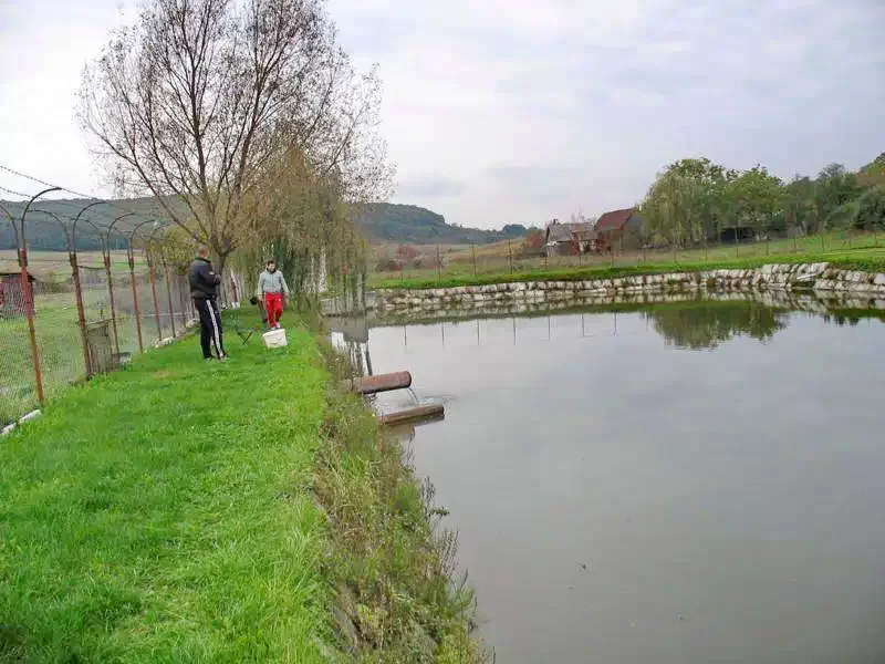 Harangmező Szállás | Hotel**** (K0207-24) A kép szerzői jogvédelem alatt állhat. Javasolt a kapcsolatfelvétel a jog tulajdonossal.
