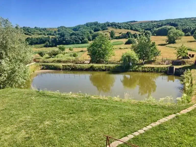 Hidișelu de Sus Cazare | Hotel**** (K0207-39) Imaginea poate fi supusă drepturilor de autor. Se recomandă contactarea titularului drepturilor.