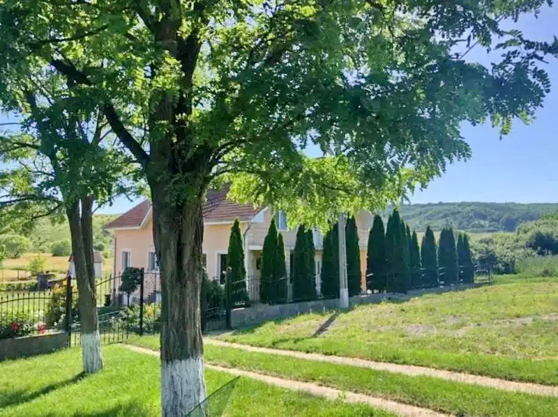 Harangmező Szállás | Hotel**** (K0207-46) A kép szerzői jogvédelem alatt állhat. Javasolt a kapcsolatfelvétel a jog tulajdonossal.