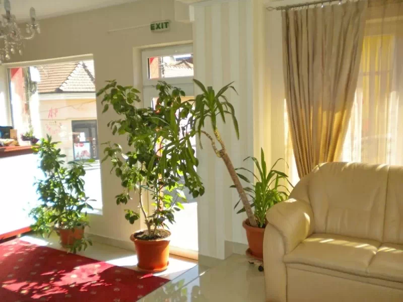 Cluj-Napoca Cazare | Hotel**** (K1428-25) Imaginea poate fi supusă drepturilor de autor. Se recomandă contactarea titularului drepturilor.