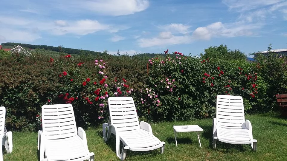 Beszterce Szállás | Motel (K0925-26) A kép szerzői jogvédelem alatt állhat. Javasolt a kapcsolatfelvétel a jog tulajdonossal.