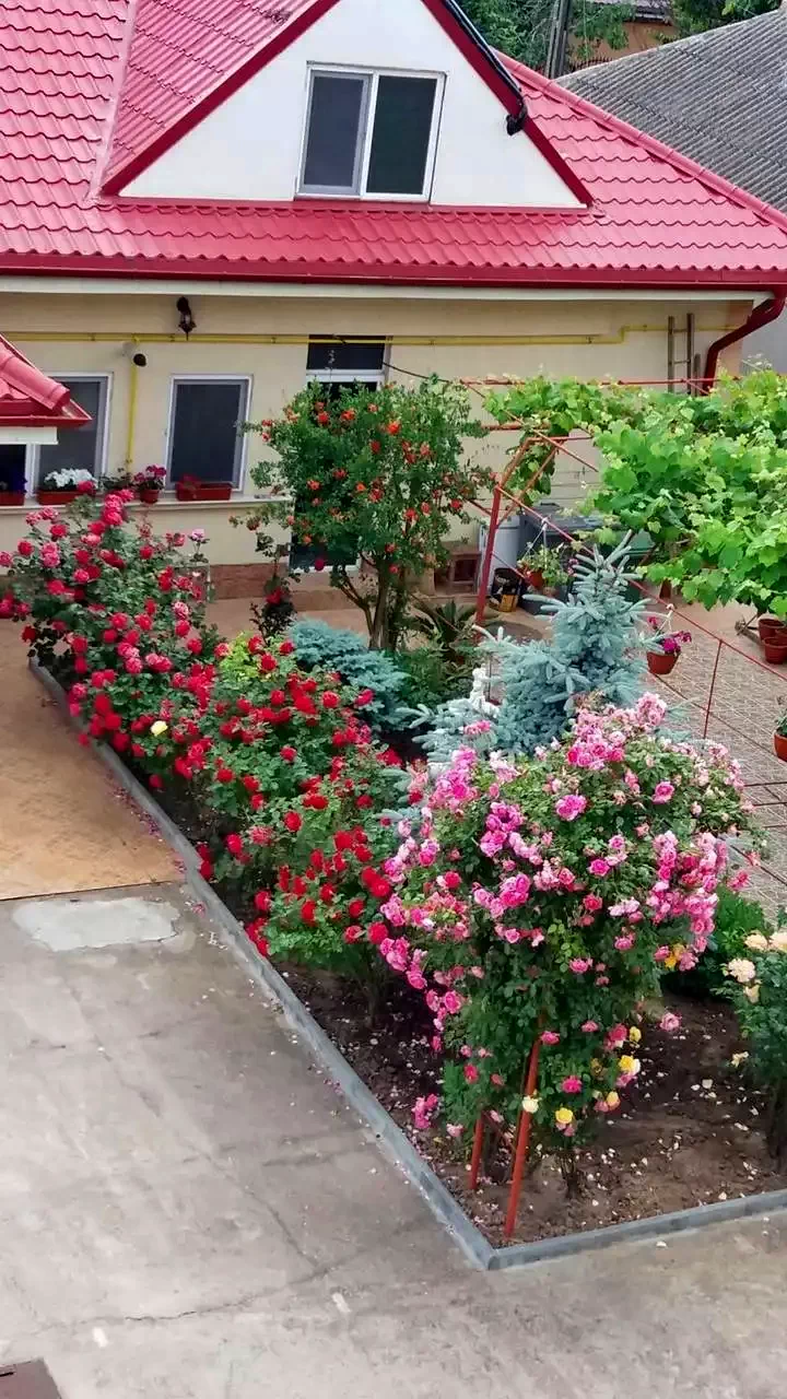  Szállás | Motel (K1332-6) A kép szerzői jogvédelem alatt állhat. Javasolt a kapcsolatfelvétel a jog tulajdonossal.