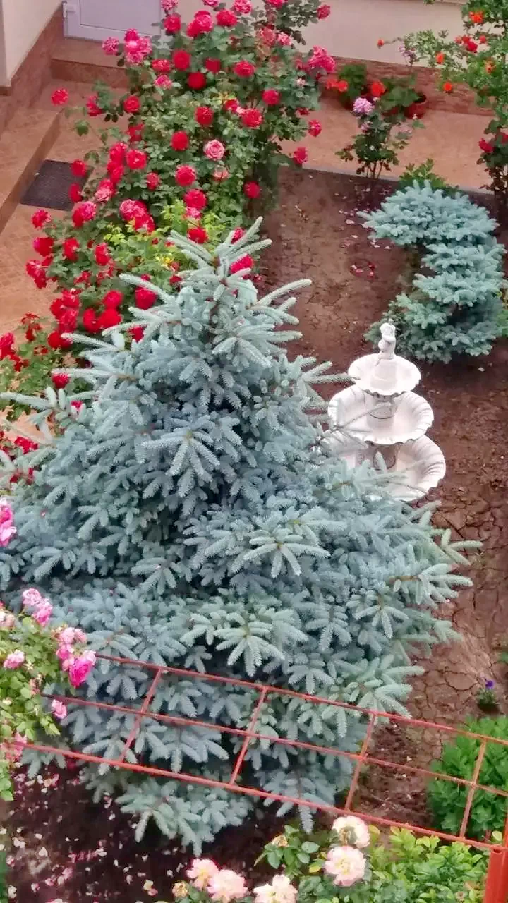 Costinești Cazare | Motel (K1332-26) Imaginea poate fi supusă drepturilor de autor. Se recomandă contactarea titularului drepturilor.