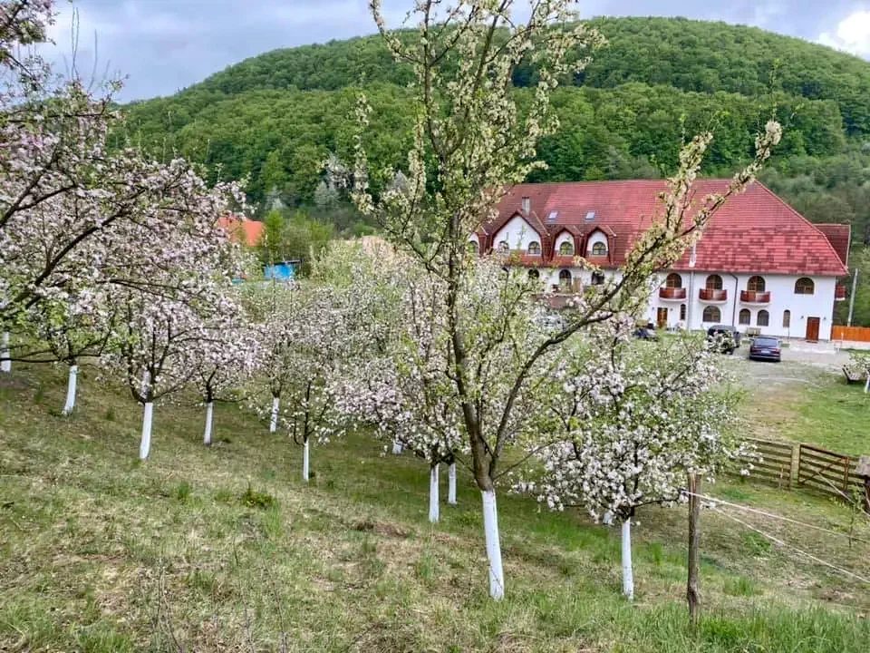 Szállás Corund - Pensiune Izvorul***| Korond - Forrás Panzió***. A kép szerzői jogvédelem alatt állhat. Javasolt a kapcsolatfelvétel a jog tulajdonossal.
