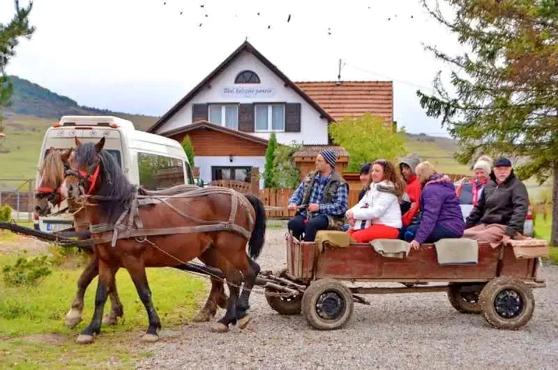 Farkaslaka Szállás | Panzió (K0356-35) A kép szerzői jogvédelem alatt állhat. Javasolt a kapcsolatfelvétel a jog tulajdonossal.
