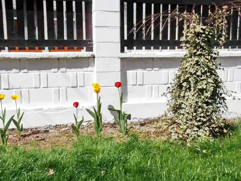 Ocna Șugatag Cazare | Motel (K1024-20) Imaginea poate fi supusă drepturilor de autor. Se recomandă contactarea titularului drepturilor.