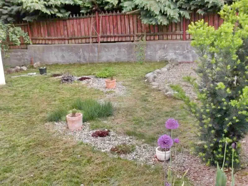 Ocna Șugatag Cazare | Motel (K1024-21) Imaginea poate fi supusă drepturilor de autor. Se recomandă contactarea titularului drepturilor.