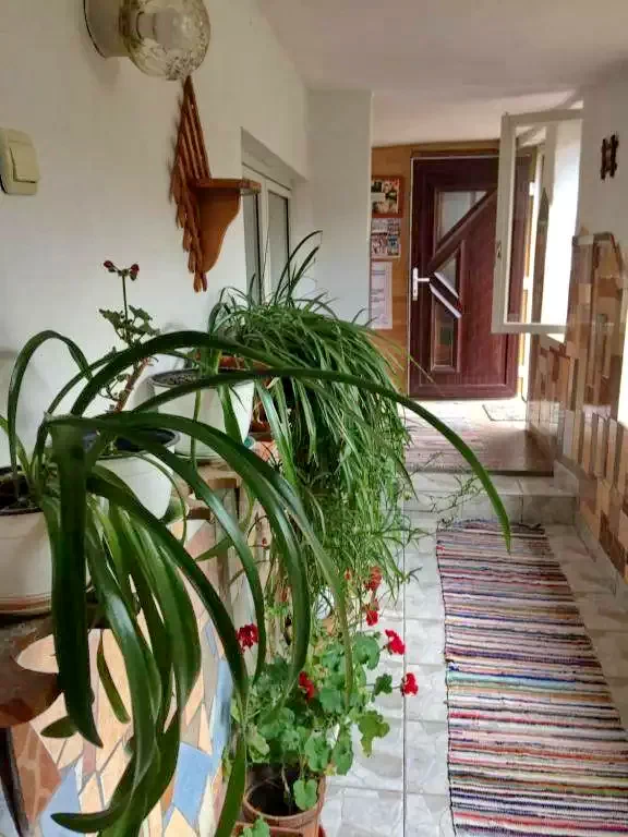 Borșa Cazare | Motel (K0059-11) Imaginea poate fi supusă drepturilor de autor. Se recomandă contactarea titularului drepturilor.