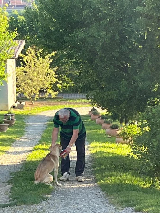 Nagyszeben Szállás | Motel (K0568-37) A kép szerzői jogvédelem alatt állhat. Javasolt a kapcsolatfelvétel a jog tulajdonossal.