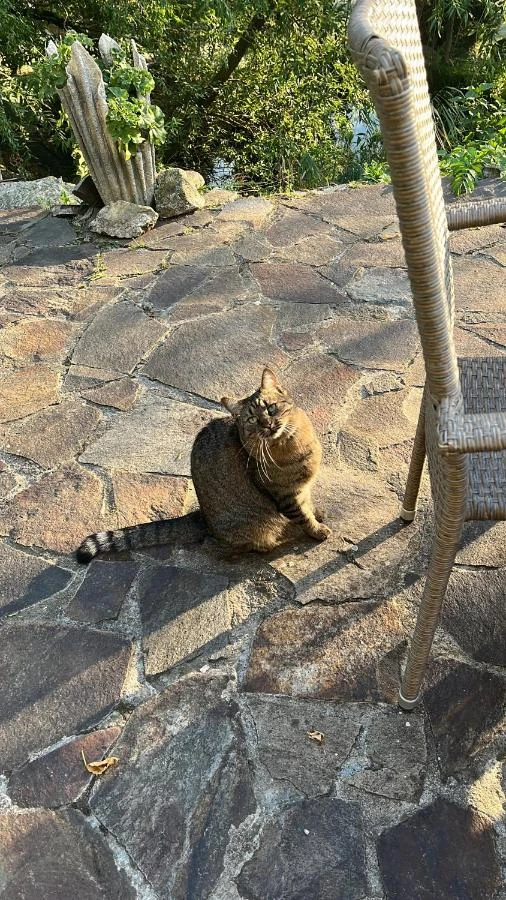 Nagyszeben Szállás | Motel (K0568-38) A kép szerzői jogvédelem alatt állhat. Javasolt a kapcsolatfelvétel a jog tulajdonossal.