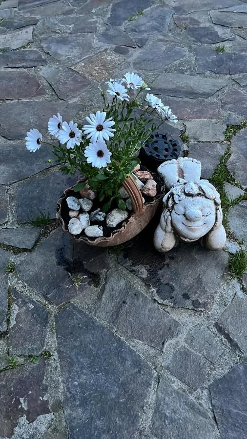 Nagyszeben Szállás | Panzió (K0568-40) A kép szerzői jogvédelem alatt állhat. Javasolt a kapcsolatfelvétel a jog tulajdonossal.