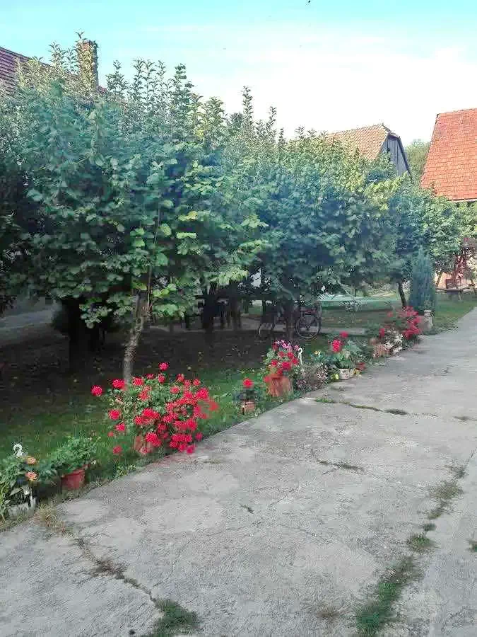 Körösfő Szállás | Hotel**** (K0987-31) A kép szerzői jogvédelem alatt állhat. Javasolt a kapcsolatfelvétel a jog tulajdonossal.