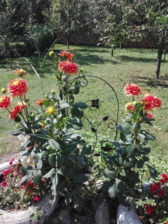 Izvoru Crișului Cazare | Hotel**** (K0987-39) Imaginea poate fi supusă drepturilor de autor. Se recomandă contactarea titularului drepturilor.