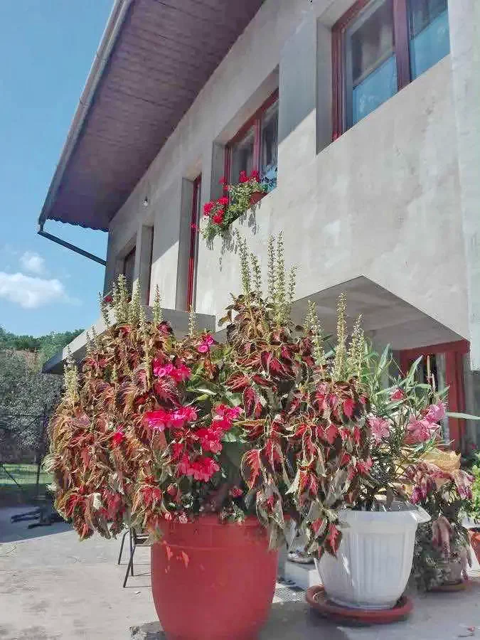 Izvoru Crișului Cazare | Hotel**** (K0987-40) Imaginea poate fi supusă drepturilor de autor. Se recomandă contactarea titularului drepturilor.