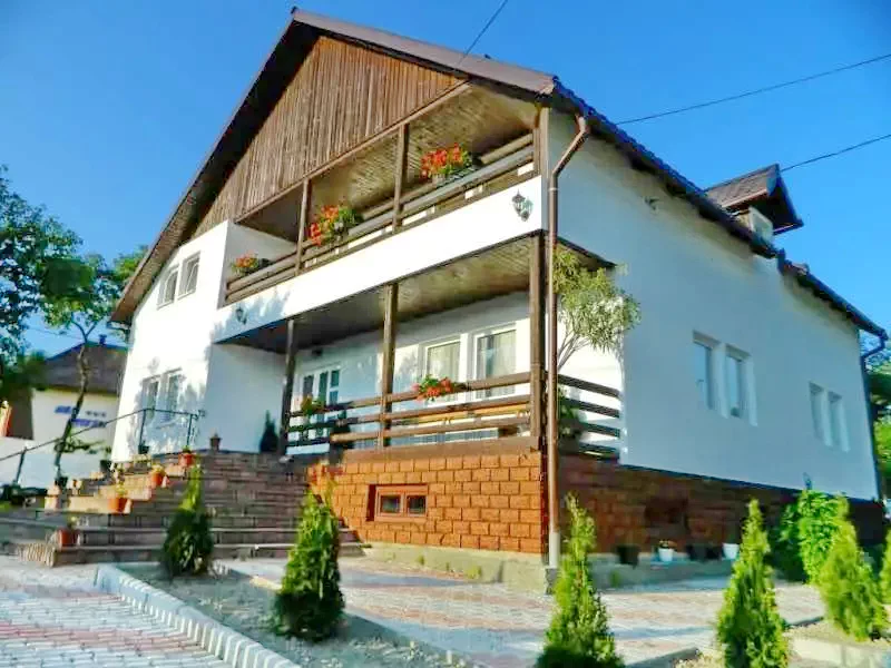 Szállás Ocna Șugatag - Pensiunea Crystal 2*** | Aknasugatag - Crystal 2 Panzió***. A kép szerzői jogvédelem alatt állhat. Javasolt a kapcsolatfelvétel a jog tulajdonossal.