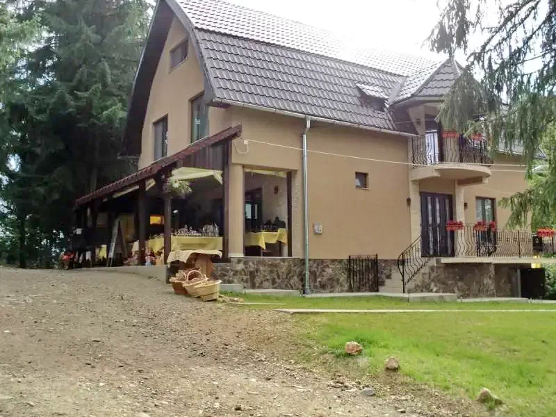 Aranyosfő Szállás | Panzió (K1144-4) A kép szerzői jogvédelem alatt állhat. Javasolt a kapcsolatfelvétel a jog tulajdonossal.