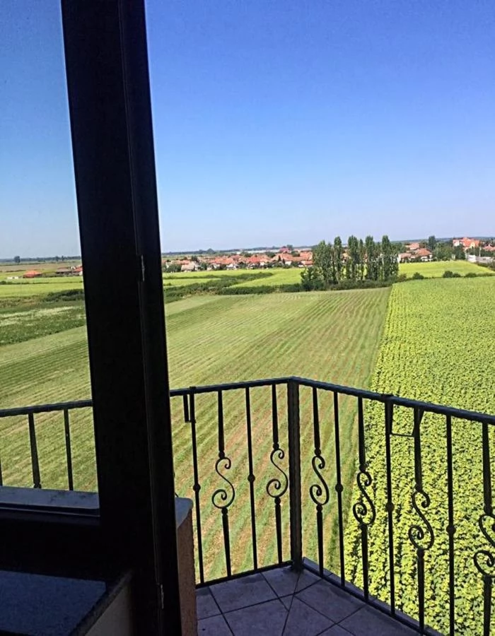 Satu Mare Cazare | Pensiune turistică (K1171-20) Imaginea poate fi supusă drepturilor de autor. Se recomandă contactarea titularului drepturilor.