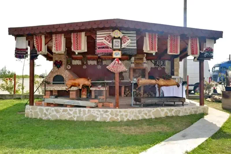 Satu Mare Cazare | Pensiune turistică (K1171-24) Imaginea poate fi supusă drepturilor de autor. Se recomandă contactarea titularului drepturilor.