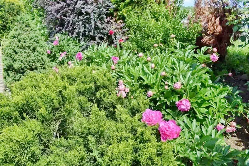 Szatmárnémeti Szállás | Turisztikai panzió (K1171-49) A kép szerzői jogvédelem alatt állhat. Javasolt a kapcsolatfelvétel a jog tulajdonossal.