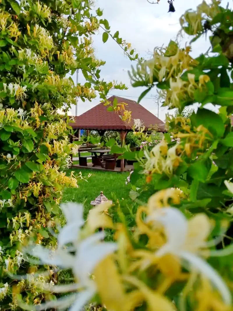 Satu Mare Cazare | Pensiune turistică (K1171-51) Imaginea poate fi supusă drepturilor de autor. Se recomandă contactarea titularului drepturilor.