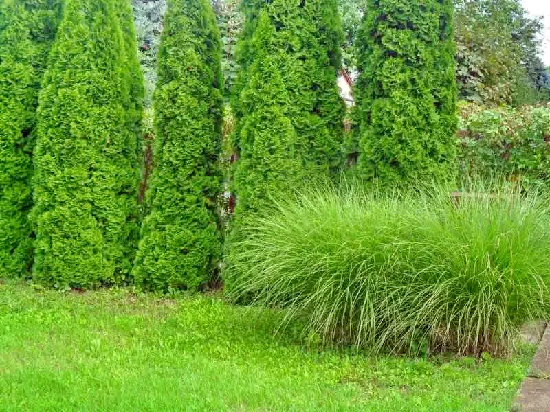 Hajdúszoboszló Szállás | Apartman (K0846-2) A kép szerzői jogvédelem alatt állhat. Javasolt a kapcsolatfelvétel a jog tulajdonossal. Hajdúszoboszló Szállás | Apartman (K0846-2) A kép szerzői jogvédelem alatt állhat. Javasolt a kapcsolatfelvétel a jog tulajdonossal.