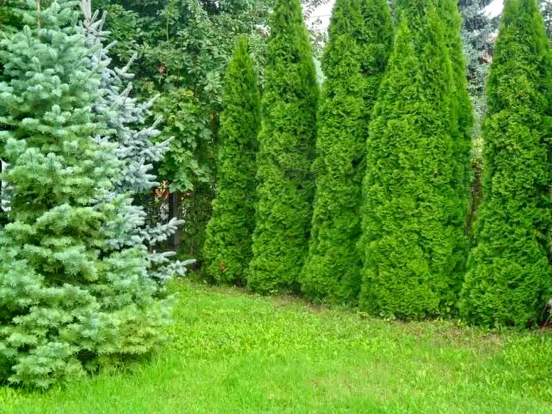  Cazare | Casă de apartamente (K0846-5) Imaginea poate fi supusă drepturilor de autor. Se recomandă contactarea titularului drepturilor.