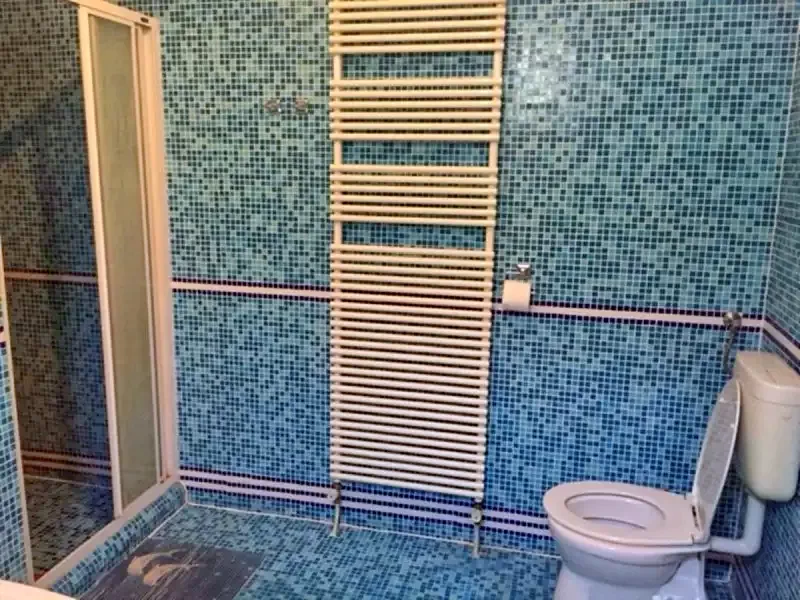  Cazare | Sat de vacanță (K0311-13) Imaginea poate fi supusă drepturilor de autor. Se recomandă contactarea titularului drepturilor.