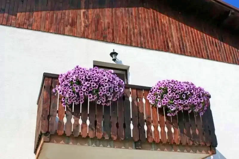 Törcsvár Szállás | Motel (K0461-7) A kép szerzői jogvédelem alatt állhat. Javasolt a kapcsolatfelvétel a jog tulajdonossal.