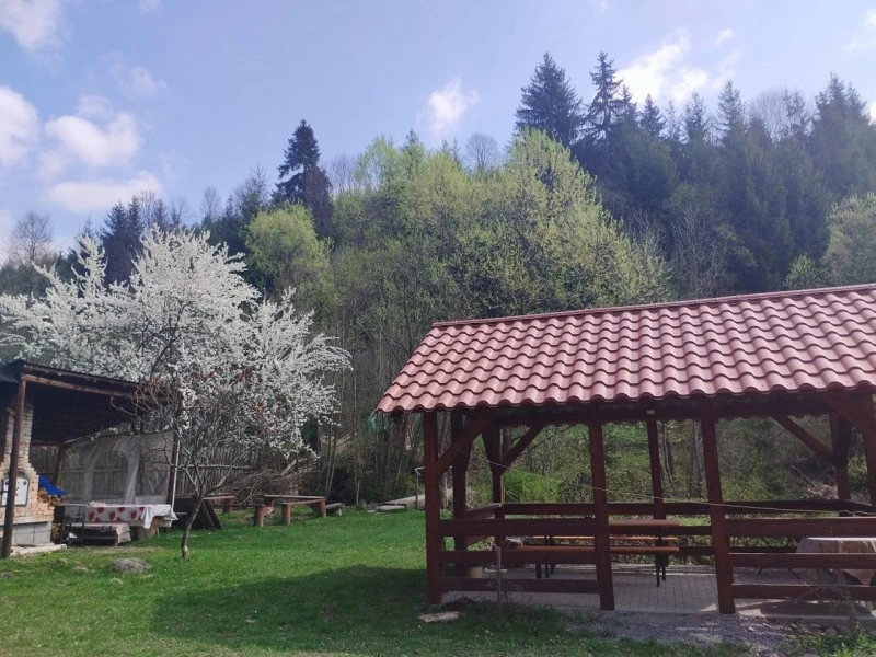 Vărșag Cazare | Sat de vacanță (K1524-8) Imaginea poate fi supusă drepturilor de autor. Se recomandă contactarea titularului drepturilor.