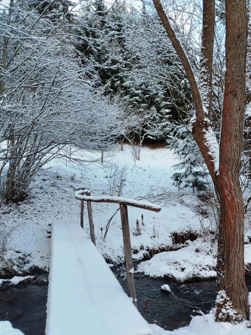 Vărșag Cazare | Sat de vacanță (K1524-28) Imaginea poate fi supusă drepturilor de autor. Se recomandă contactarea titularului drepturilor.