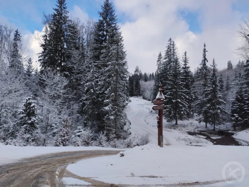 Vărșag Cazare | Sat de vacanță (K1524-31) Imaginea poate fi supusă drepturilor de autor. Se recomandă contactarea titularului drepturilor.