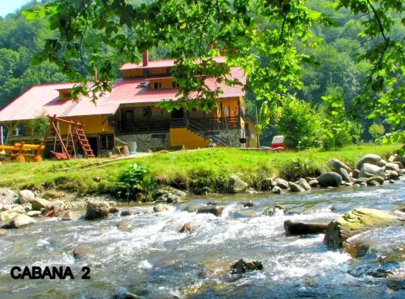 Cazare Stâna de Vale - Pensiunea Rustic House 2** | Biharfüred - Rustic House Panzió 2** . Imaginea poate fi supusă drepturilor de autor. Se recomandă contactarea titularului drepturilor.